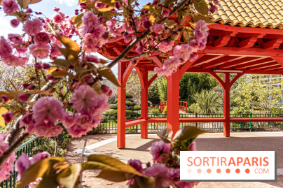 Square Médéric Colombes - jardin japonais 92 -  A7C9962