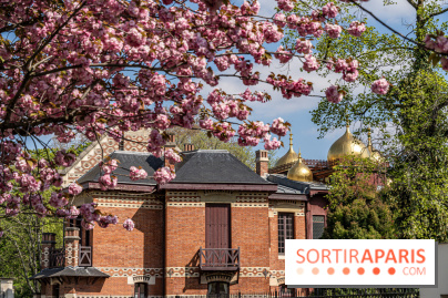 Parc de Bécon à Courbevoie - Pavillon des Indes - Cerisiers en fleurs -  A7C0006