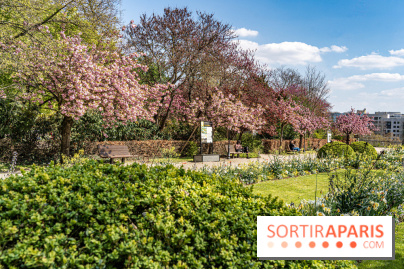 Parc de Bécon à Courbevoie - Pavillon des Indes - Cerisiers en fleurs -  A7C0017