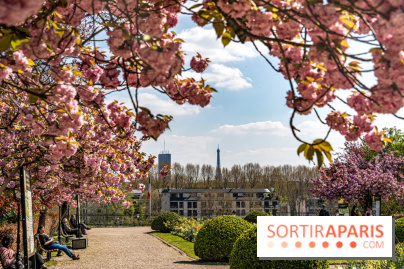 Parc de Bécon à Courbevoie - Pavillon des Indes - Cerisiers en fleurs