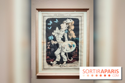 Sarah Bernhardt, l'exposition événement incroyable à voir au Petit Palais - nos photos - IMG20230413101021