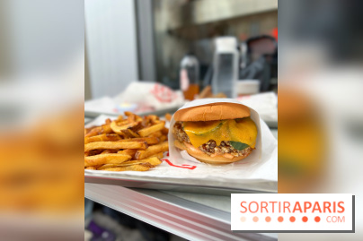 Mao Fry - Burger poulet frit