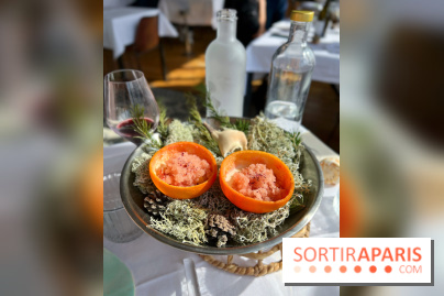 Alice Arnoux au Perchoir Ménilmontant - Pomelo et araignée