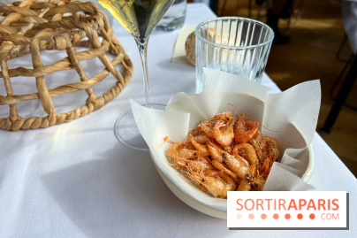 Alice Arnoux au Perchoir Ménilmontant - Crevettes frites