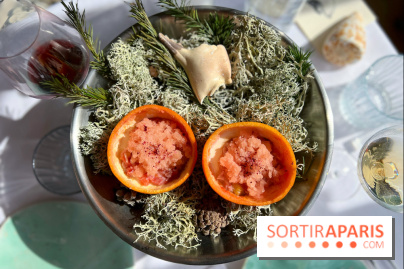 Alice Arnoux au Perchoir Ménilmontant - Pomelo et araignée