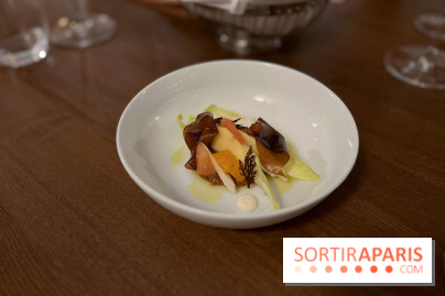 Manon Fleury au Chalet des Îles Daumesnil - 7C032BD5 87E5 4B58 AB95 B646A1247132