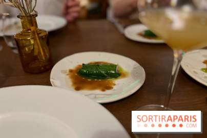 Manon Fleury au Chalet des Îles Daumesnil - 515F3850 FE54 4E68 BDA9 B68400C2BBA5