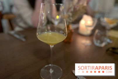 Manon Fleury au Chalet des Îles Daumesnil - C7EECC36 AFC6 4E4D B518 135F55CB6323