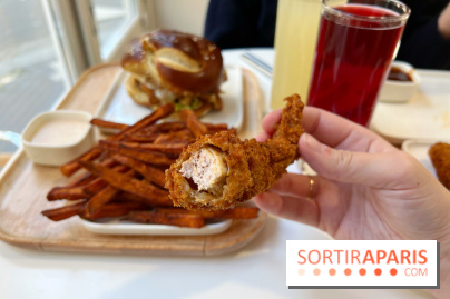 Mosugo - Tenders poulet frit