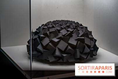 Paradox Museum Paris - les photos -  A7C0701