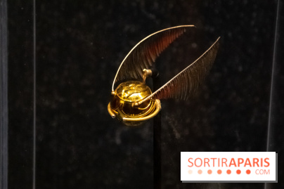 Harry Potter l'exposition vif d'or quidditch