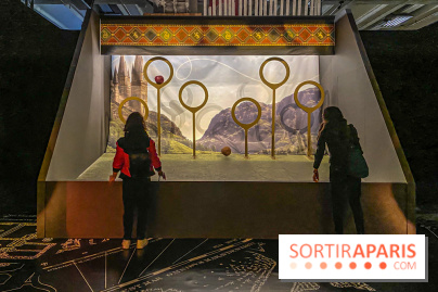 Harry Potter l'exposition quidditch