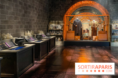 Harry Potter l'exposition cours de potions