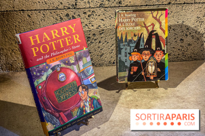 Harry Potter l'exposition livres