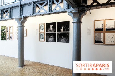 Paris Animal, nos photos de l'expo à Paris