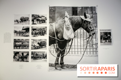 Paris Animal, nos photos de l'expo à Paris