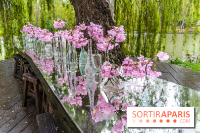 Le Moulin jaune - Hanami 2023 -  A7C1439