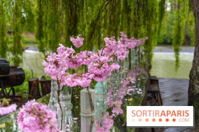 Le Moulin jaune - Hanami 2023 -  A7C1418