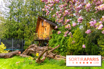 Le Moulin jaune - Hanami 2023 -  A7C1451
