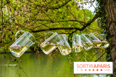 Le Moulin jaune - Hanami 2023 -  A7C2119