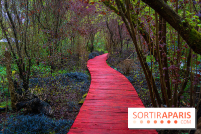 Le Moulin jaune - Hanami 2023 -  A7C1676