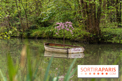 Le Moulin jaune - Hanami 2023 -  A7C1601