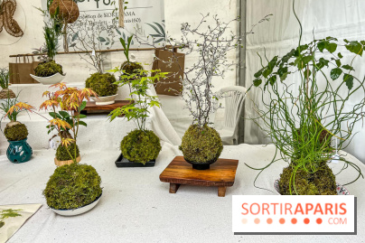 Esprit Jardin à Versailles - Marché aux plantes et animations