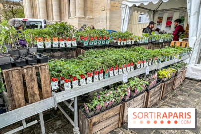 Esprit Jardin à Versailles - Marché aux plantes et animations