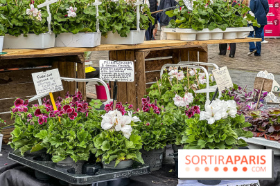 Esprit Jardin à Versailles - Marché aux plantes et animations