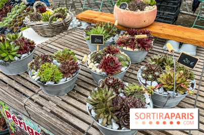 Esprit Jardin à Versailles - Marché aux plantes et animations