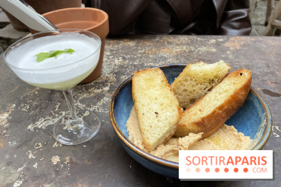 Griffon - Visuels - IMG 3861