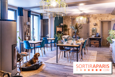 La Bastide de Barbizon - Chambre d'Hôte à Barbizon -  A7C7423