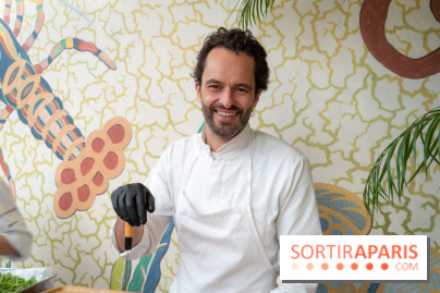 Polpo plage - Marina bateaux électrique  -  A7C2337