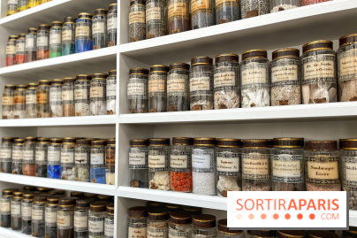 Musée de la Pharmacie - Dynastie Menier - IMG 2184