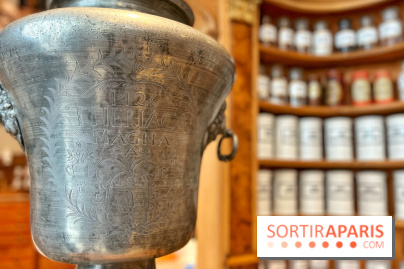 Musée de la Pharmacie - Dynastie Menier - IMG 2207