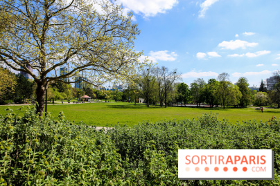 Parc André Malraux à Nanterre, nos photos - IMG 9723