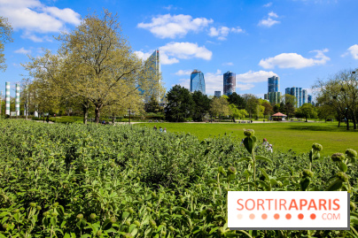 Parc André Malraux à Nanterre, nos photos - IMG 9724