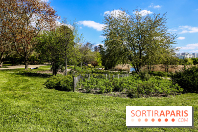 Parc André Malraux à Nanterre, nos photos - IMG 9729