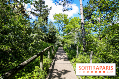 Parc André Malraux à Nanterre, nos photos - IMG 9730