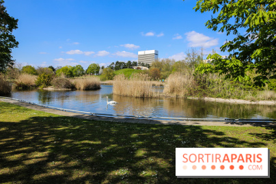 Parc André Malraux à Nanterre, nos photos - IMG 9750