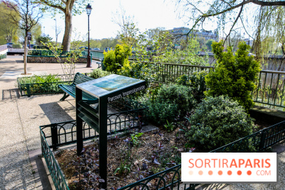 L'île de la Jatte, nos photos - IMG 9667