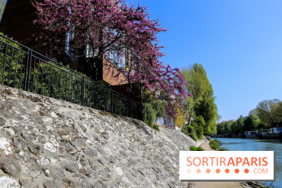 L'île de la Jatte, nos photos - IMG 9679