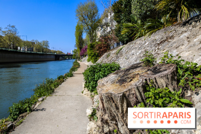 L'île de la Jatte, nos photos - IMG 9680