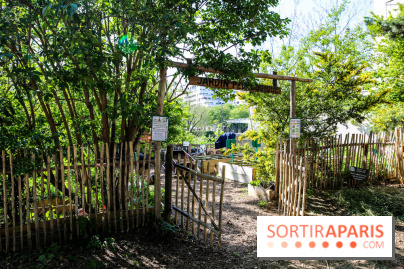 L'île de la Jatte, nos photos - IMG 9709