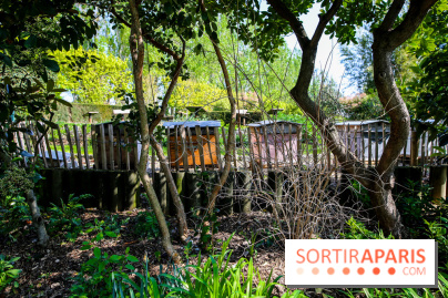 L'île de la Jatte, nos photos - IMG 9711