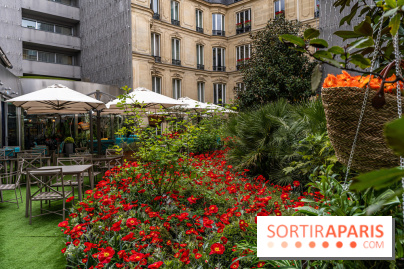 La terrasse cachée du Joy à l'Hôtel Fouquet's 2023 : le jardin de coquelicots -  A7C2758