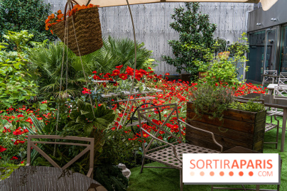 La terrasse cachée du Joy à l'Hôtel Fouquet's 2023 : le jardin de coquelicots -  A7C2732