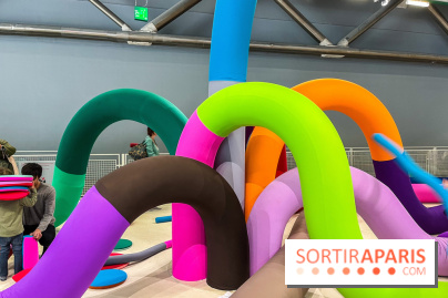 Les Plantamouves du Centre Georges Pompidou - E4832CE3 7549 46F1 A5C5 4B7943DEFF04