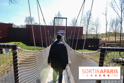 Zoo de Thoiry 2023 - Terre des gorilles