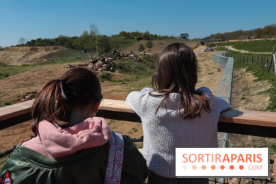 Zoo de Thoiry 2023 - Visuel enfant